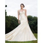 sophia-tolli1